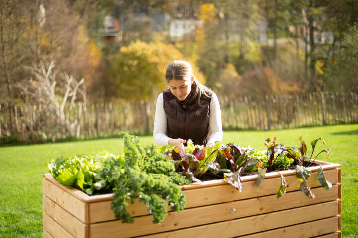 WESTMANN Hochbeet Asket